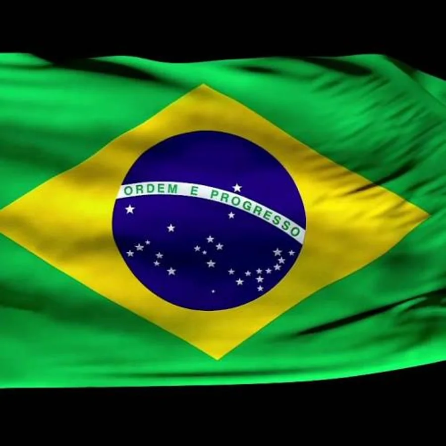 Brazil Catuai Nova Conquista Arabica