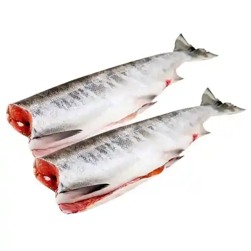 Frozen Chum Salmon Fillet Wholesale Fish Frozen Salmon