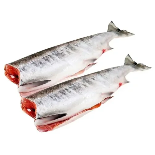Fresh - frozen chum salmon