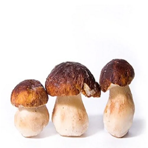 Whole white mushrooms Extra grade 