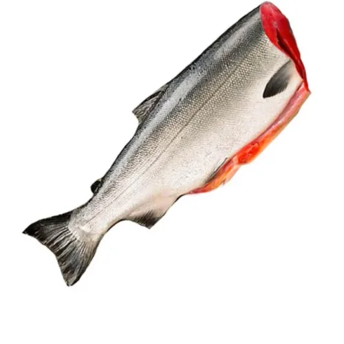 Свежемороженная рыба Кижуч ПБГ 6-9 Премиум