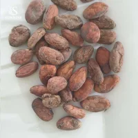 Cocoa Beans from Argentina