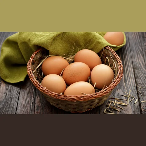 Яйцо куриное отборное ПК Альянс