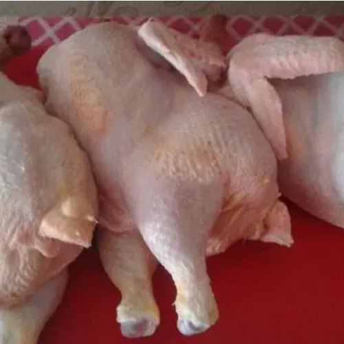 Halal chickens 1.8 kg Nizhny Novgorod