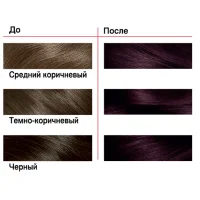 Londa Color Resistant Cream Hair Paint 3/66 Eggplant