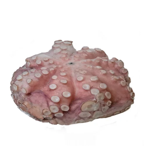 Octopus whole purified 2/3 kg