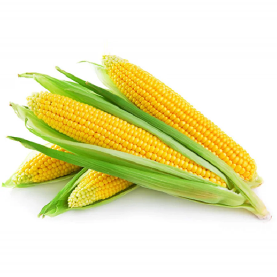 Corn