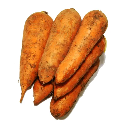 Medium carrots