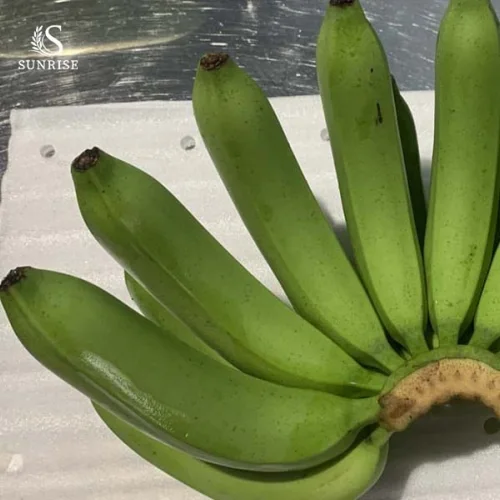 Fresh Bananas from Vietnam