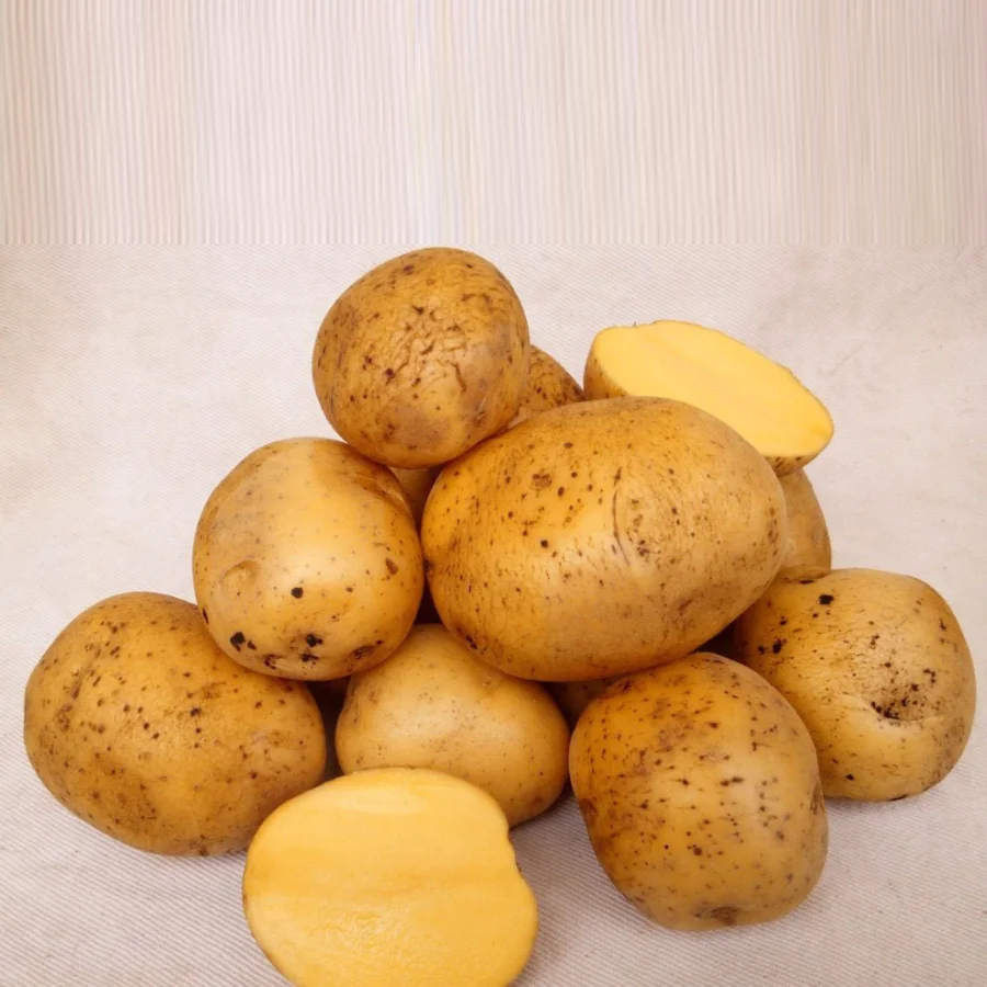 Potatoes grade Gala