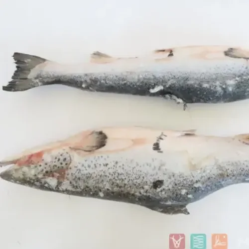 Salmon Atlantic (Salmon), Ind, Hon, 2-3kg