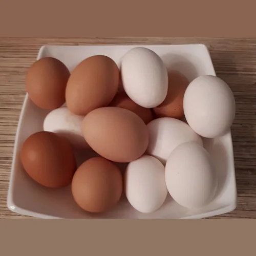 Chicken egg 1c