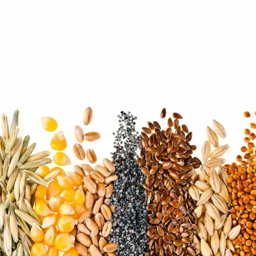 Cereals, oats, barley, wheat and much more