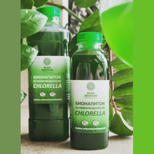 Бионапиток из микроводоросли Chlorella vulgaris 500 мл