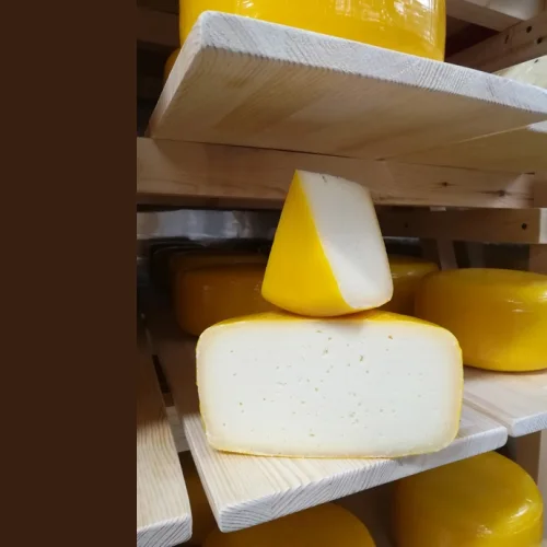 Cheese "Zyryansky"