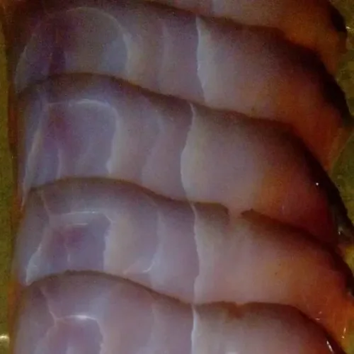 Marlin Cutting from Plast