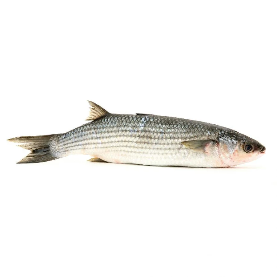 Свежемороженная рыба Кефаль
