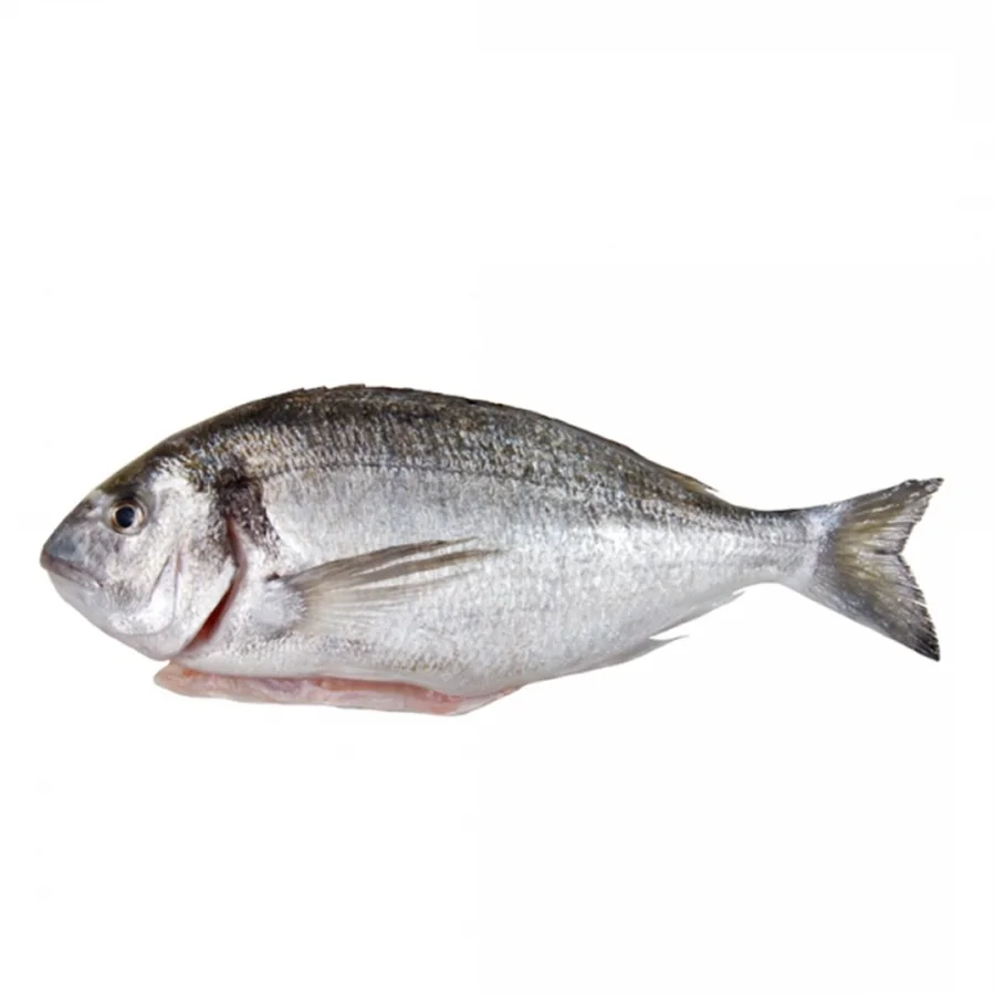 Свежемороженная рыба Дорадо