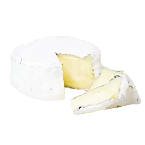 Soft cheese "Camembert Altai"