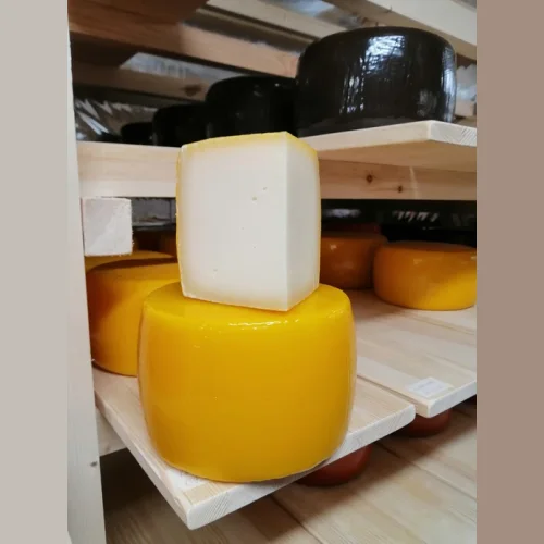 Cheese "Sysolsky"