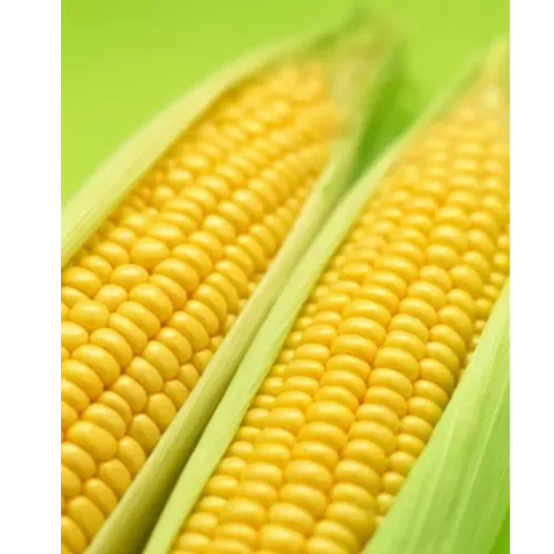 Семена Кукурузы
