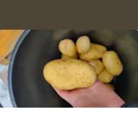 Картофель оптом, Фиделия 6+, от производителя 29, 5р./кг
