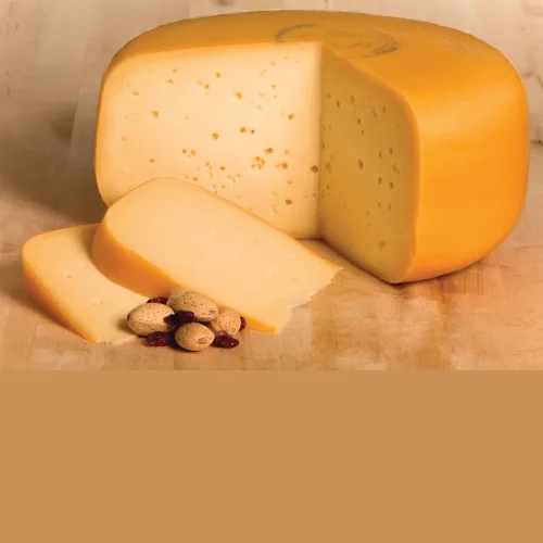 Katchotta young cheese
