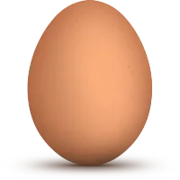 Selected chicken egg