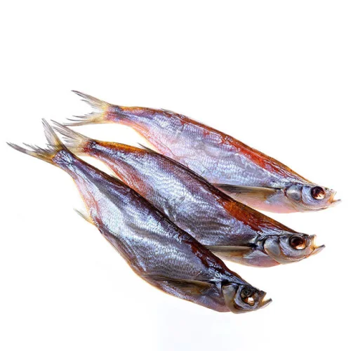 Chekhon dried weakly salmon