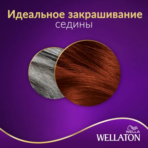 Wellaton intensive cream paint 6/4 copper