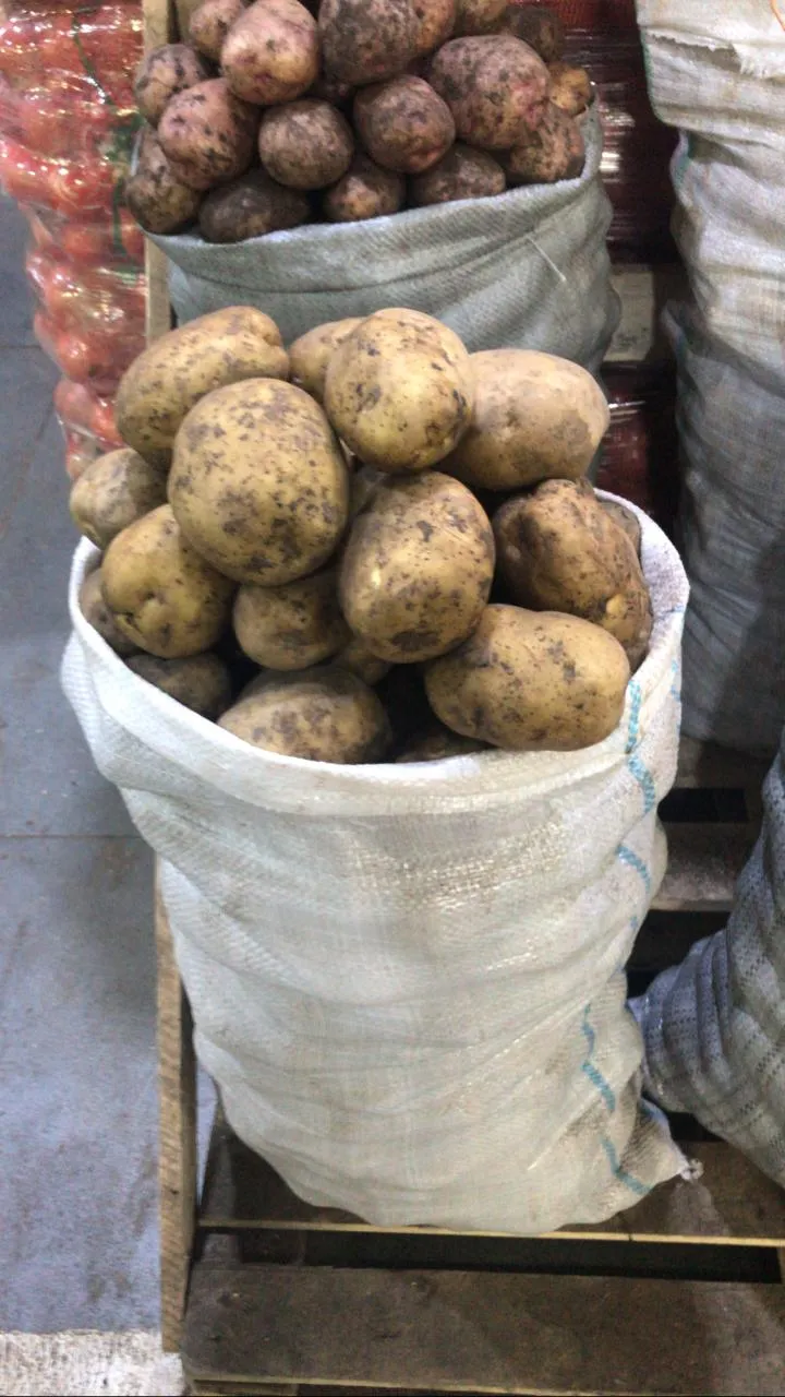 картофель оптом от фермера