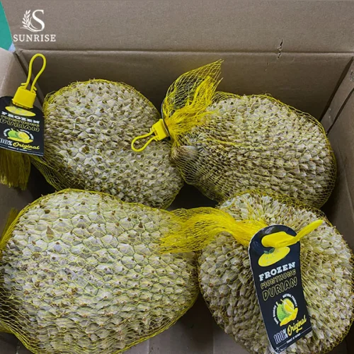 Fresh Durian from Vietnam
