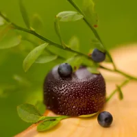 Marmalade Lavrushin Blueberries