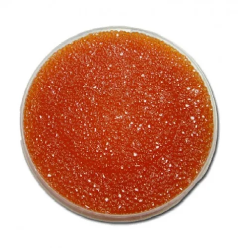 Red caviar of chum salmon, trout