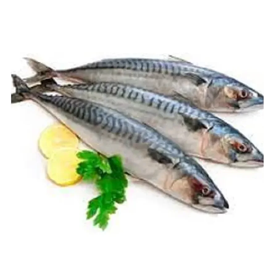 Undivided mackerel 200 - 400