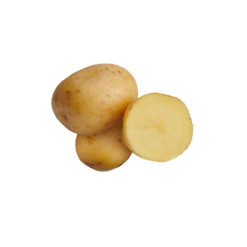 Seed potatoes "LILLY"