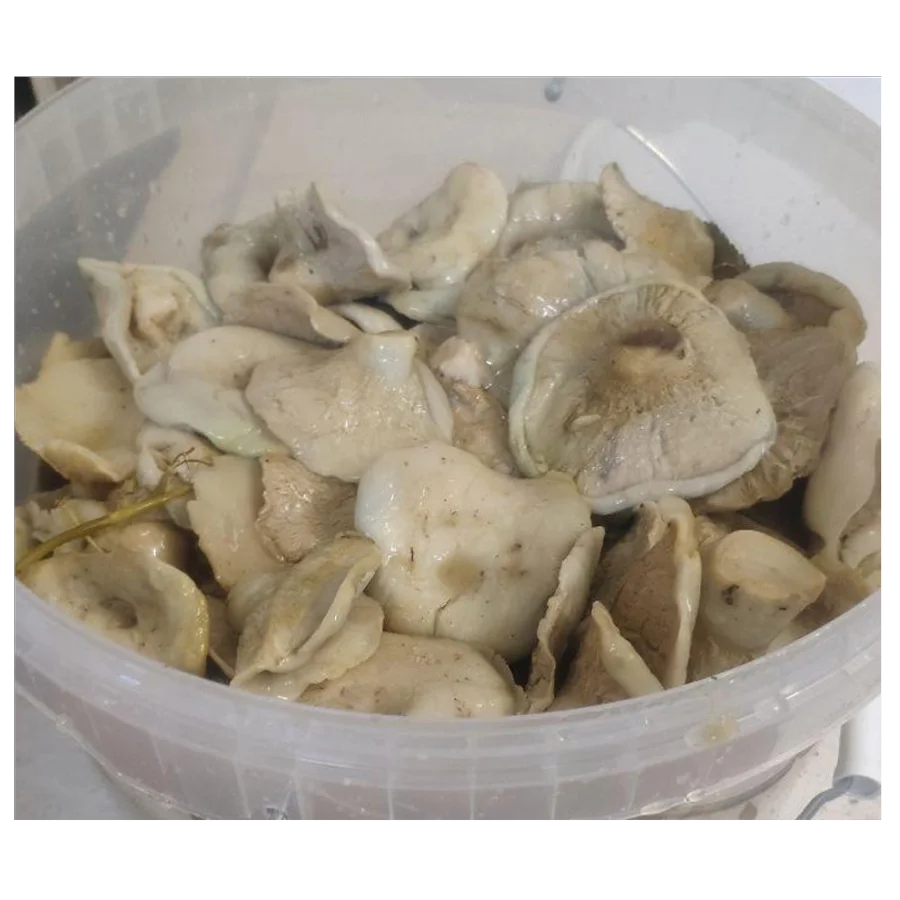 Mushroom Gruzd white salted and boiled