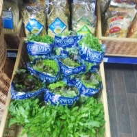 Salads in packing in assortment