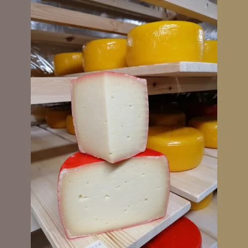 Cheese "Pechora Classic"