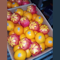 Oranges Egypt