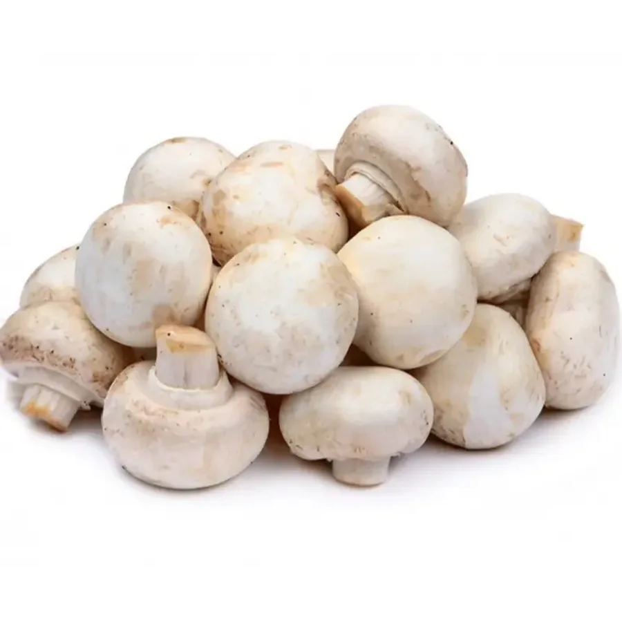 Fresh champignons mushrooms