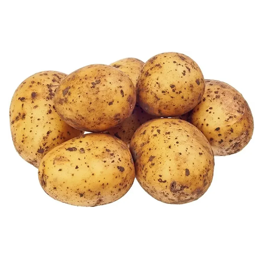 Potatoes economy harvest 2021