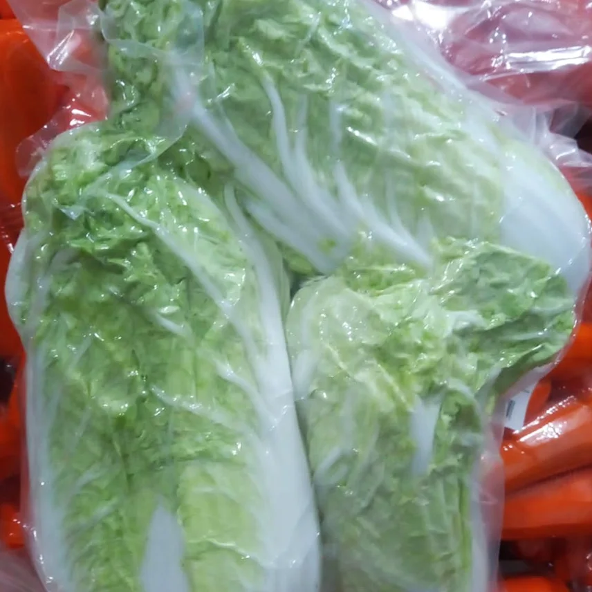 Peking cabbage in/y