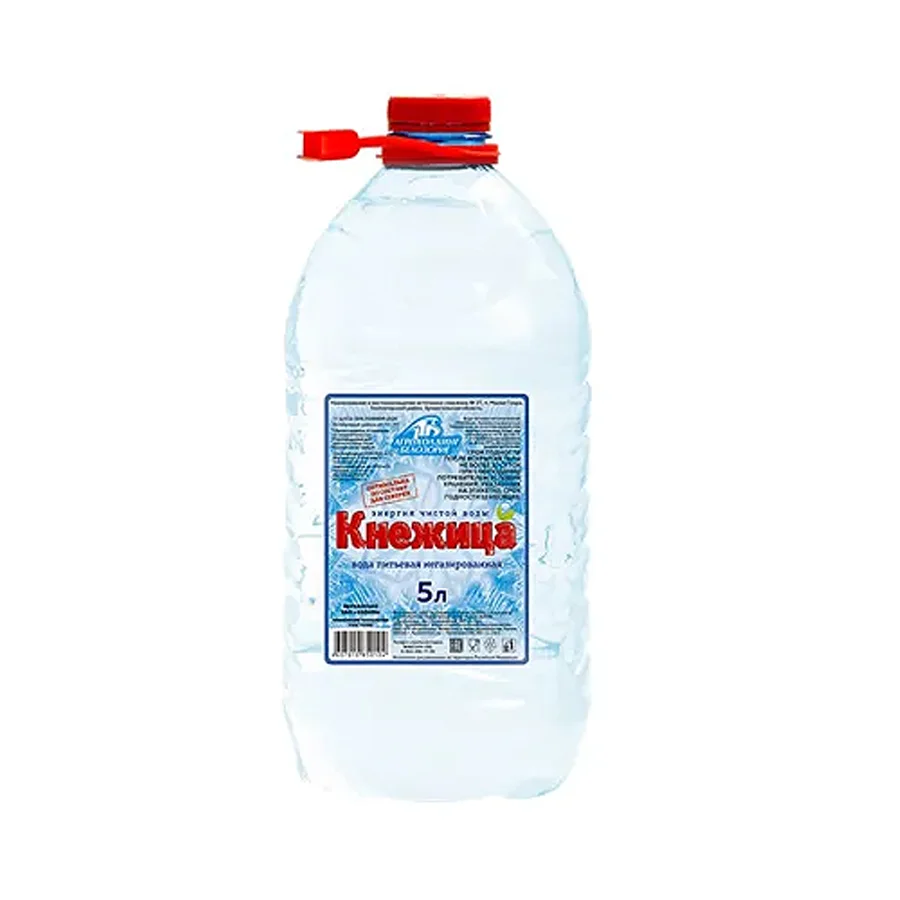 Питьевая артезианская вода "Кнежица", 5л