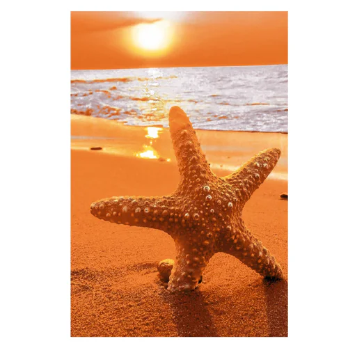 Полотенце Protex Pavline Пляжное махровое 70*140см, микс