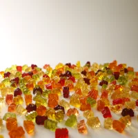 Marmalade Chewing Bears «Verokko«