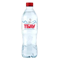 Горная родниковая вода «Тбау» 0,5 л б/газа ПЭТ