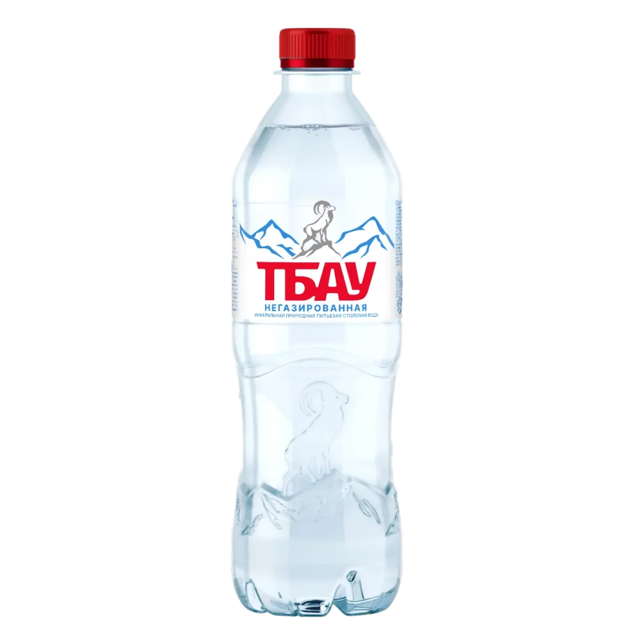 Mountain spring water "Tbau" 0.5 l b/gas PET