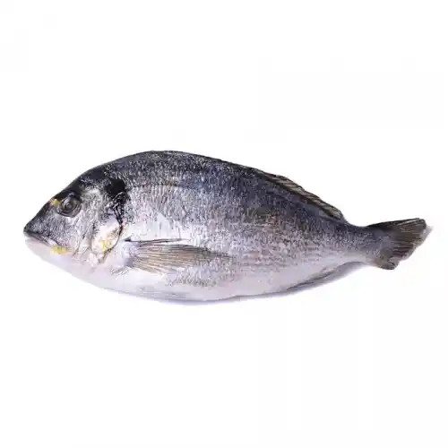 Fish Dorado Buy for 6 roubles wholesale, cheap - B2BTRADE