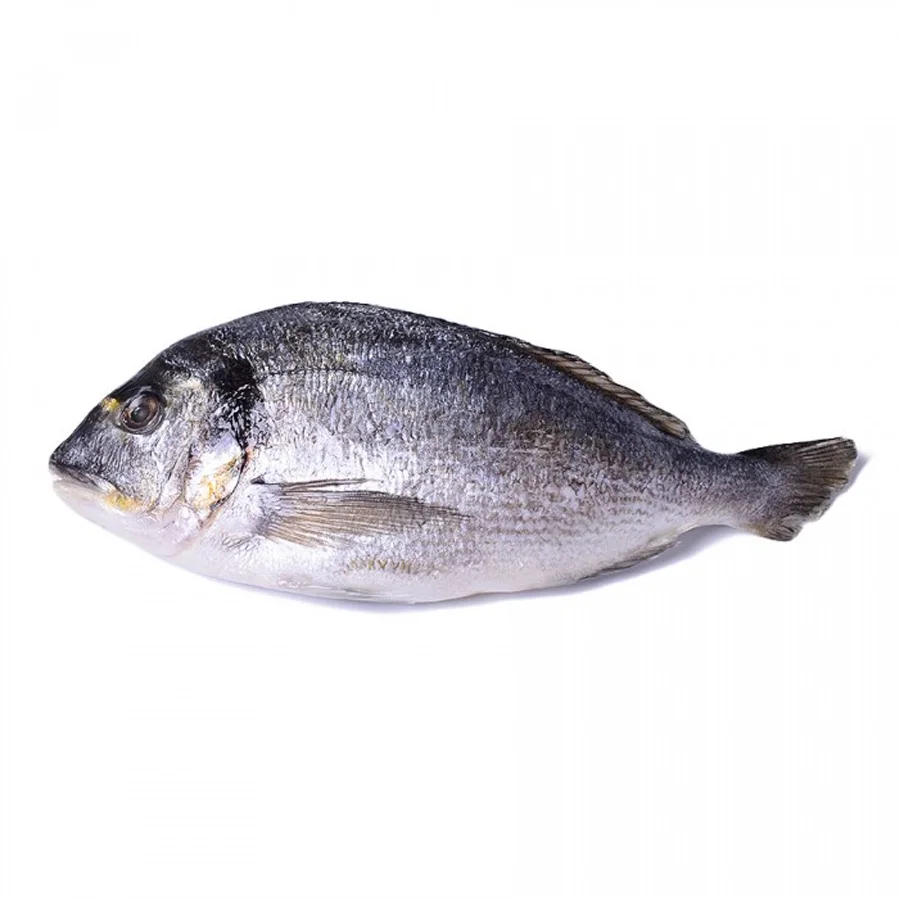 Рыба Дорадо